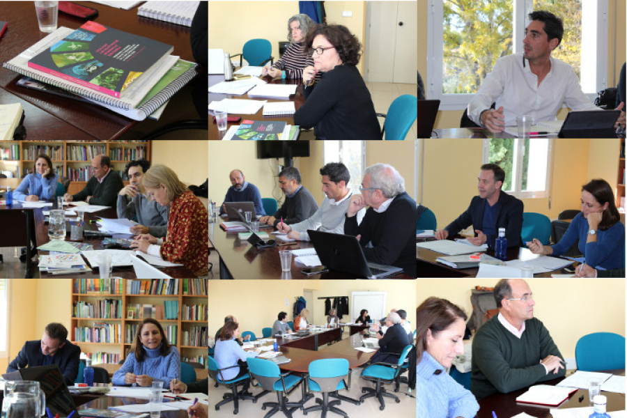 Un Comit&eacute; de Pilotaje acompa&ntilde;a el programa del FAMSI para facilitar la implementaci&oacute;n de los ODS