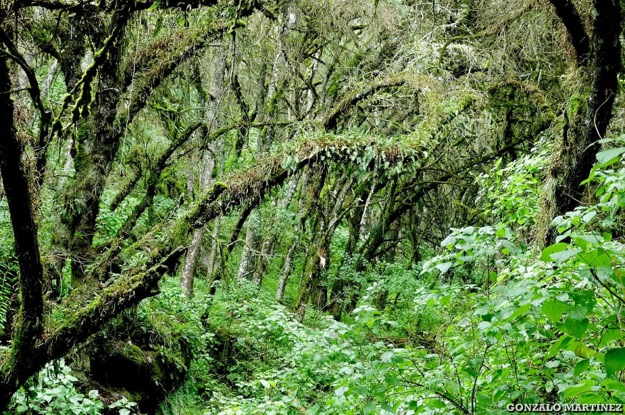 Publicado el 'Borrador actualizado del Plan Nacional Integrado de Energ&iacute;a y Clima 2021-2030'